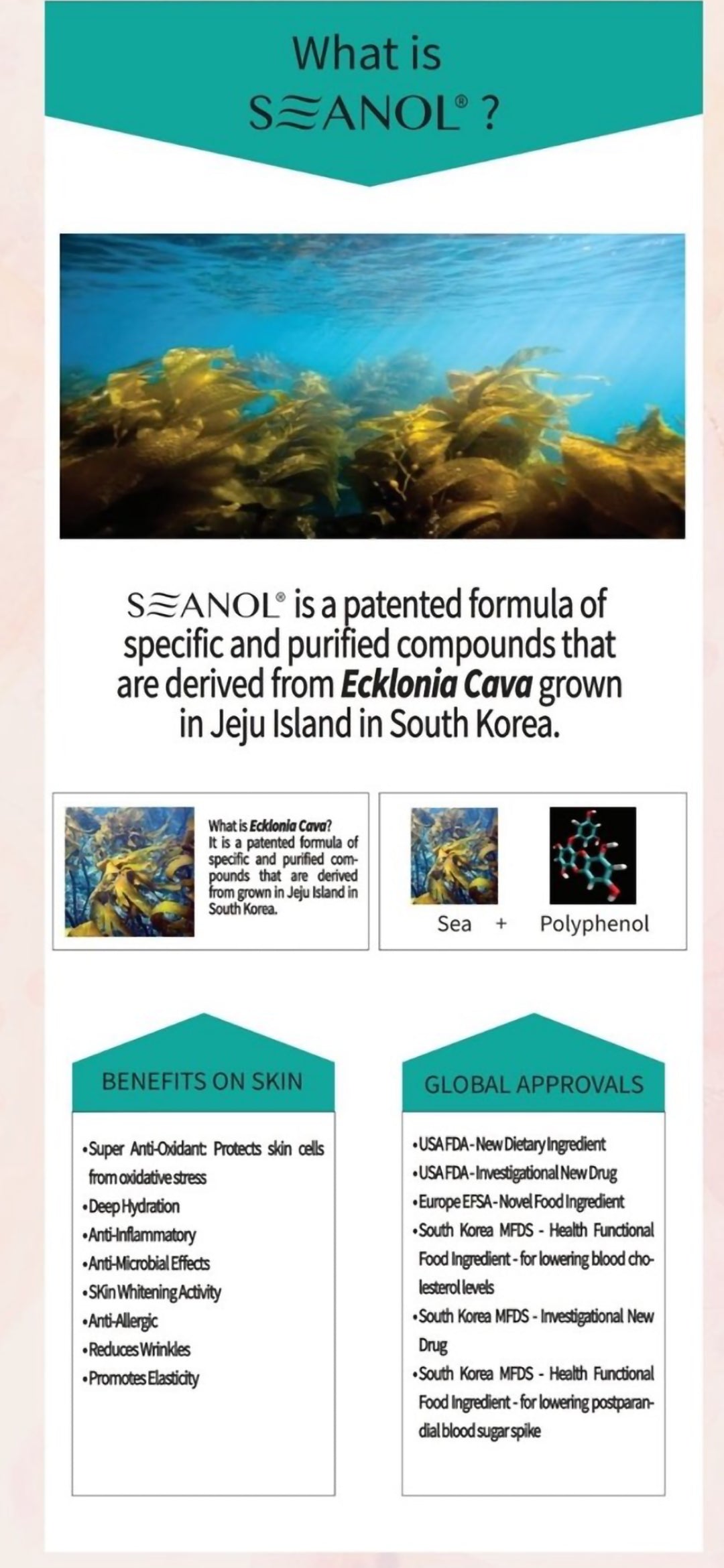 Seanol S.A.F. #1 Facial Essence